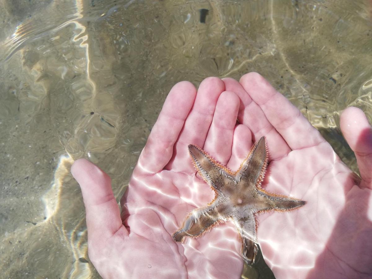 마르틴시쿠로 Attico Fronte Mare 아파트 외부 사진